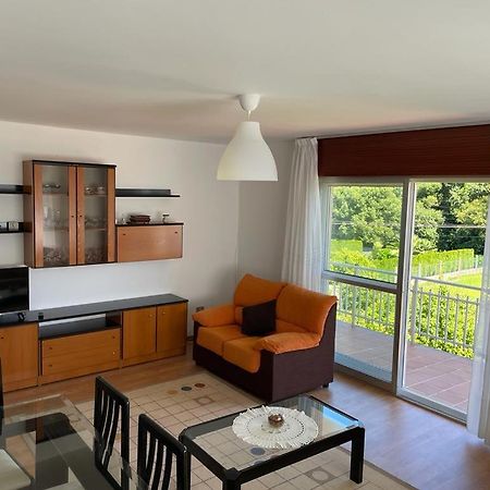 Vt O Bacelo Apartman Pontevedra Kültér fotó